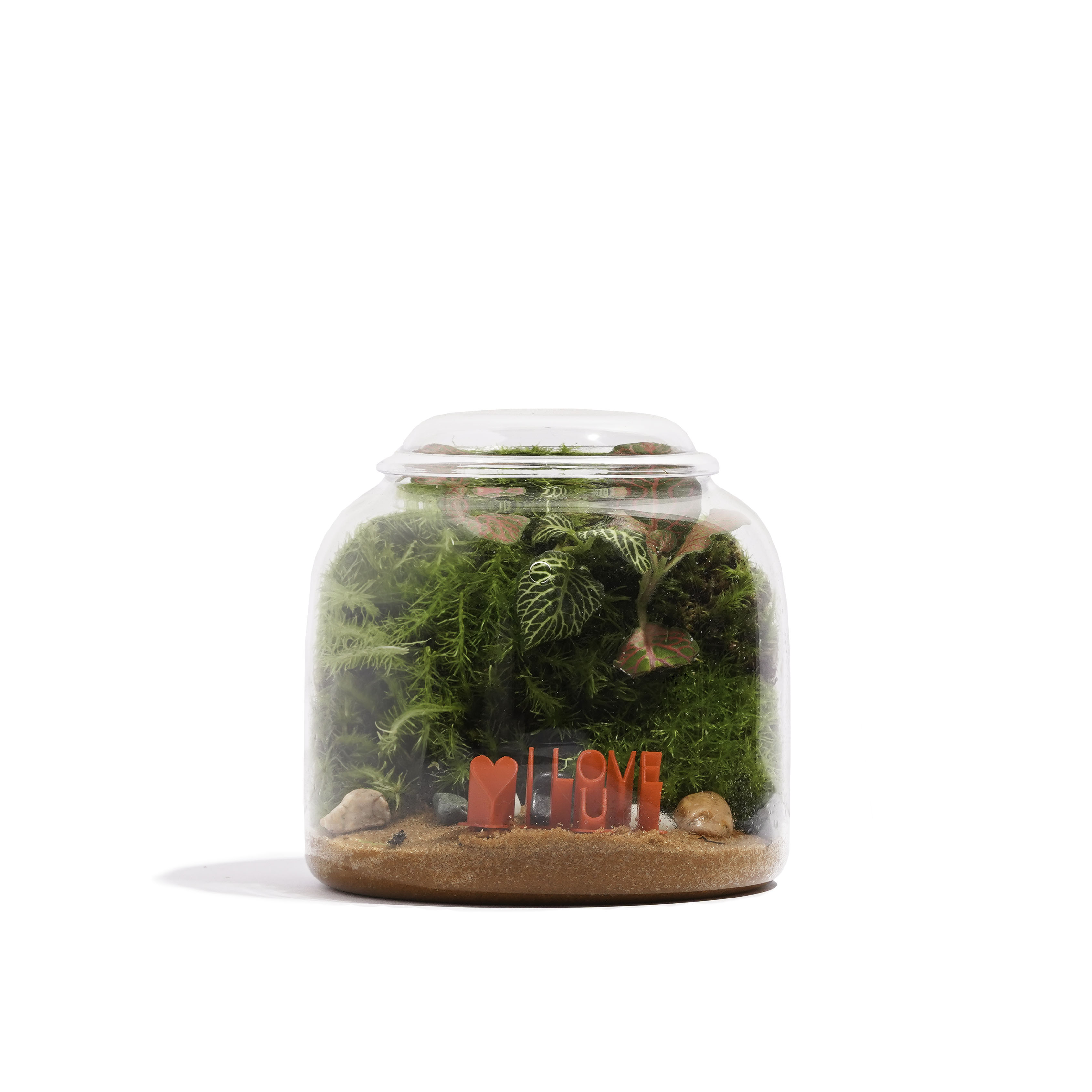 نسخة I LOVE بجرة كثيفة