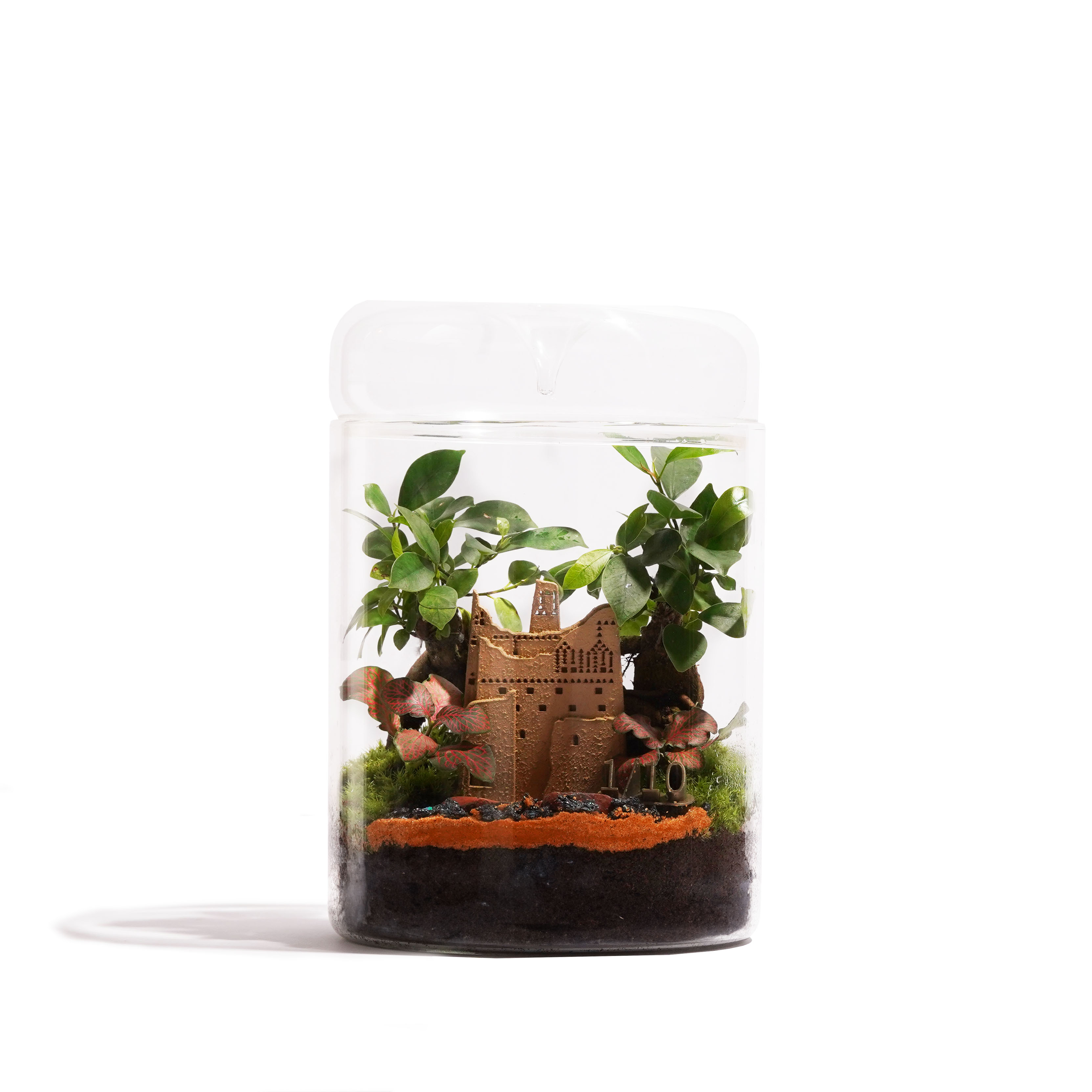 تيراريوم القلعة التراثية