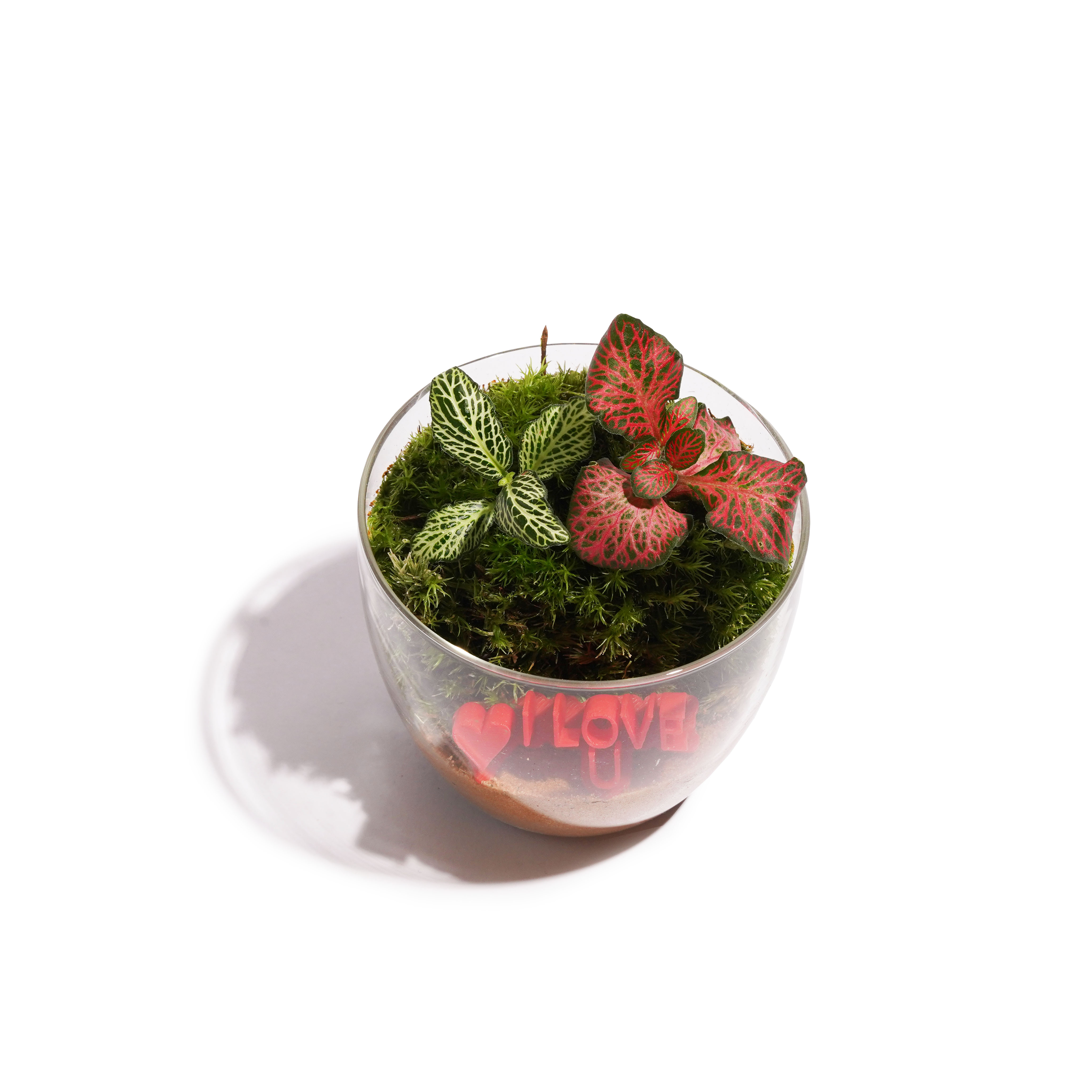 تيراريوم برسالة I LOVE